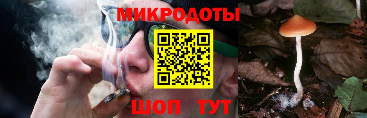 Псилоцибиновые грибы мицелий Звенигород